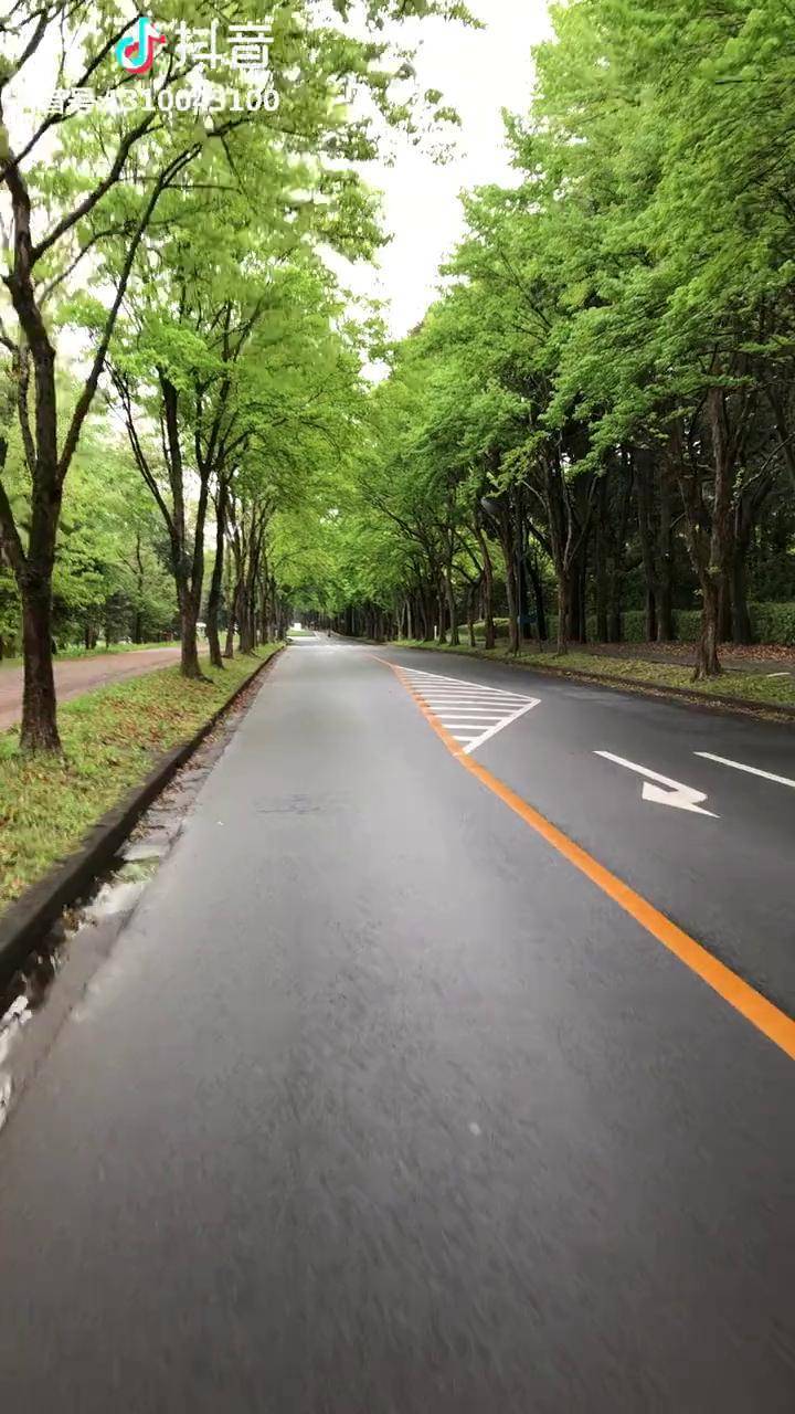 日本小乡村的幽静小道