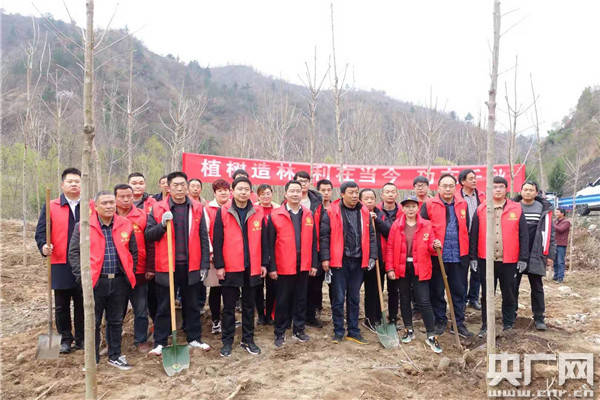 西峡县桑坪镇植树造林绿化山乡