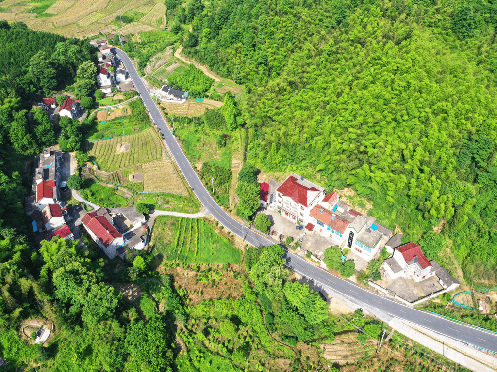 ta就是 池州市青阳县蓉十路