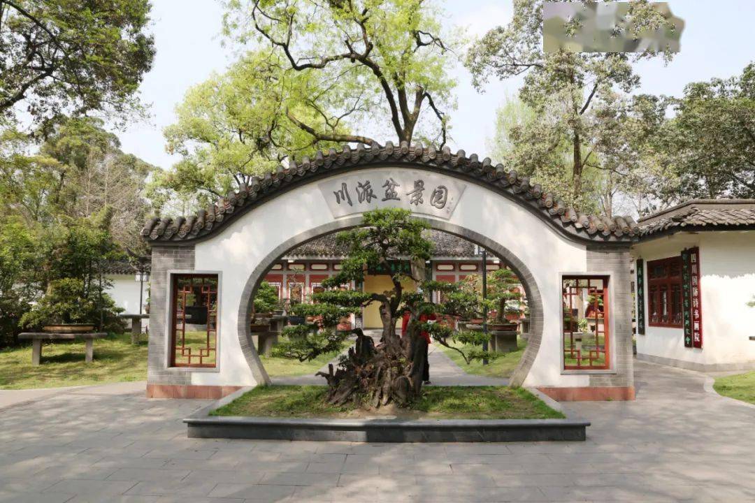 走一起找青羊网红求合照