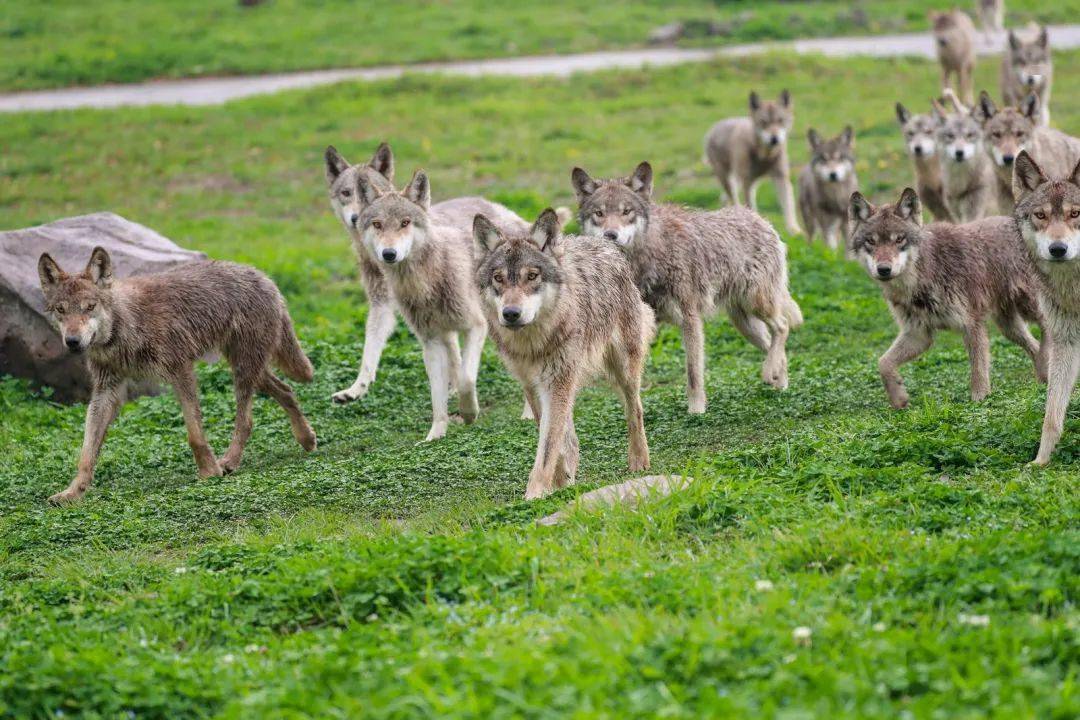 快来共赴春天的约会吧!