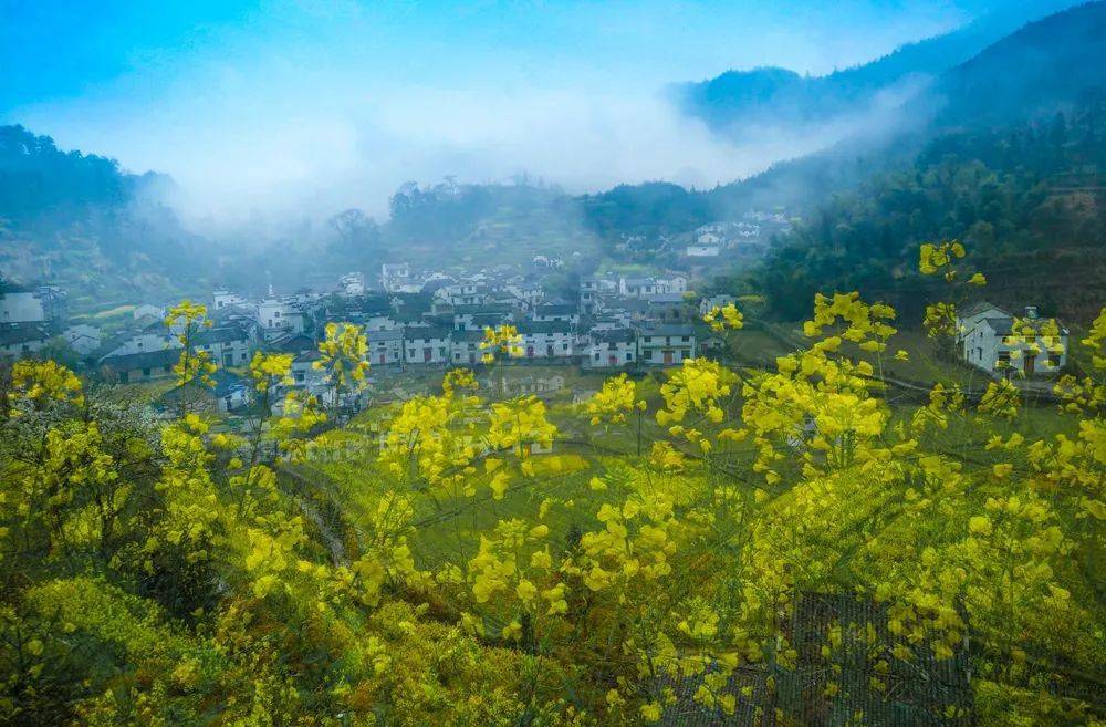 (祖源花海)月潭湖旅遊區——溪口鎮祖源村——汪村鎮石屋坑——流口鎮