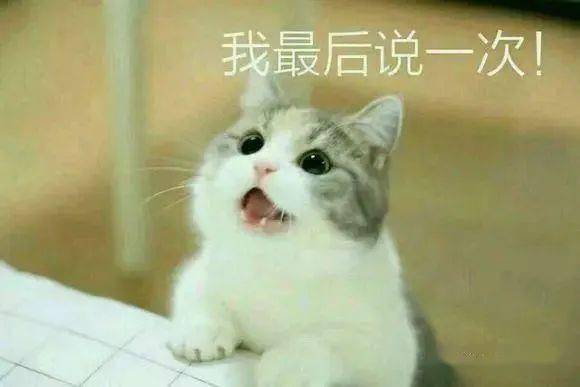 60fc5aee18364f5fb6a8ac7ddd163a33.jpeg