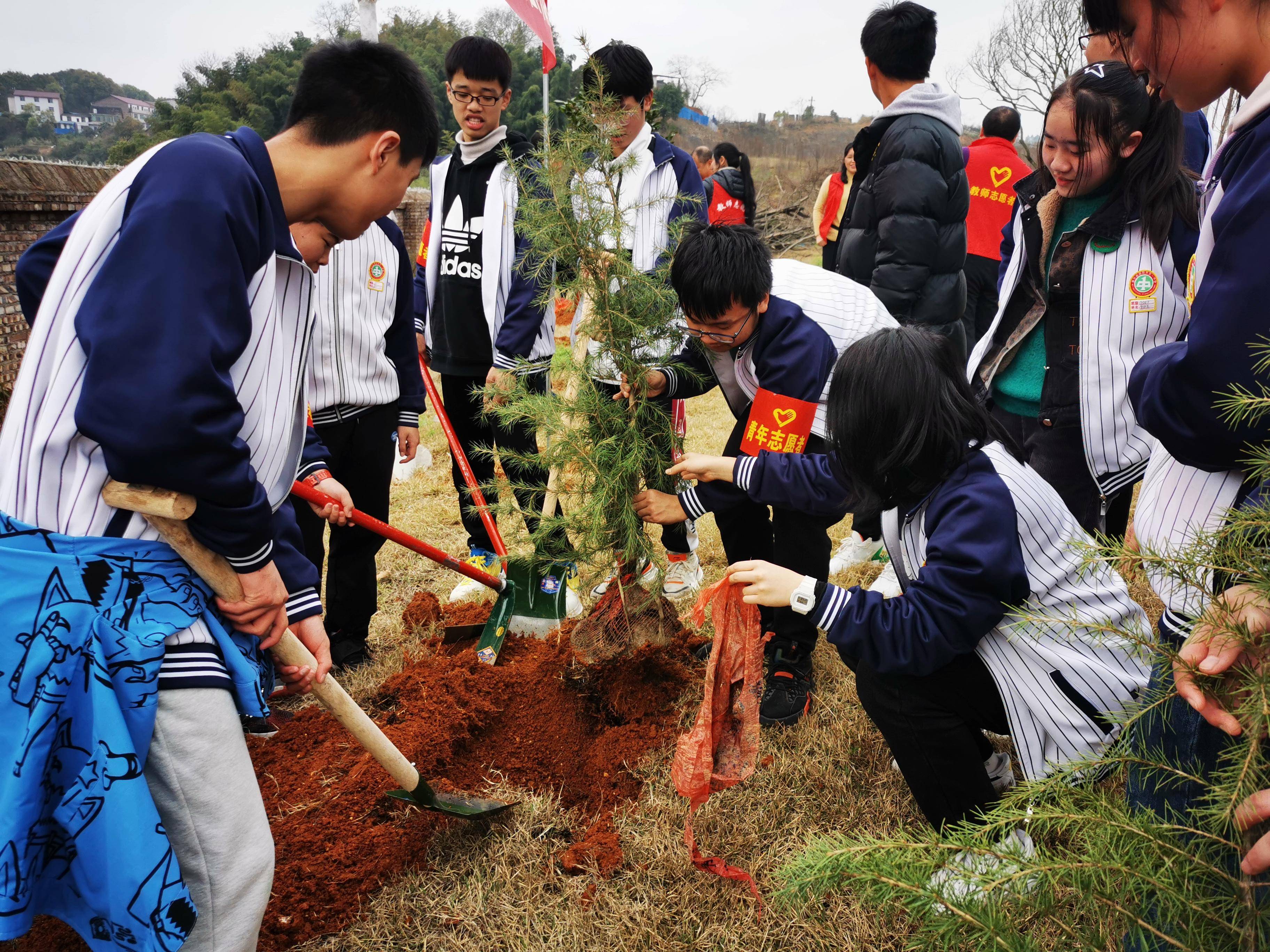 植树节学生植树照片图片