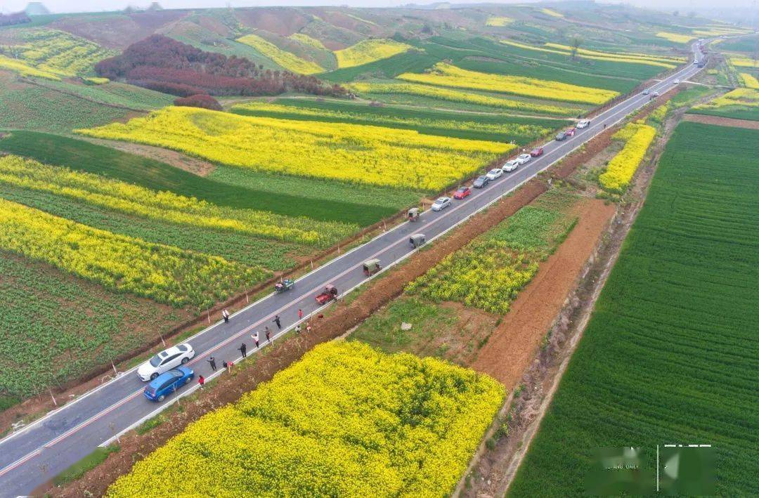 樊城这条绝美公路,随手一拍都是大片儿