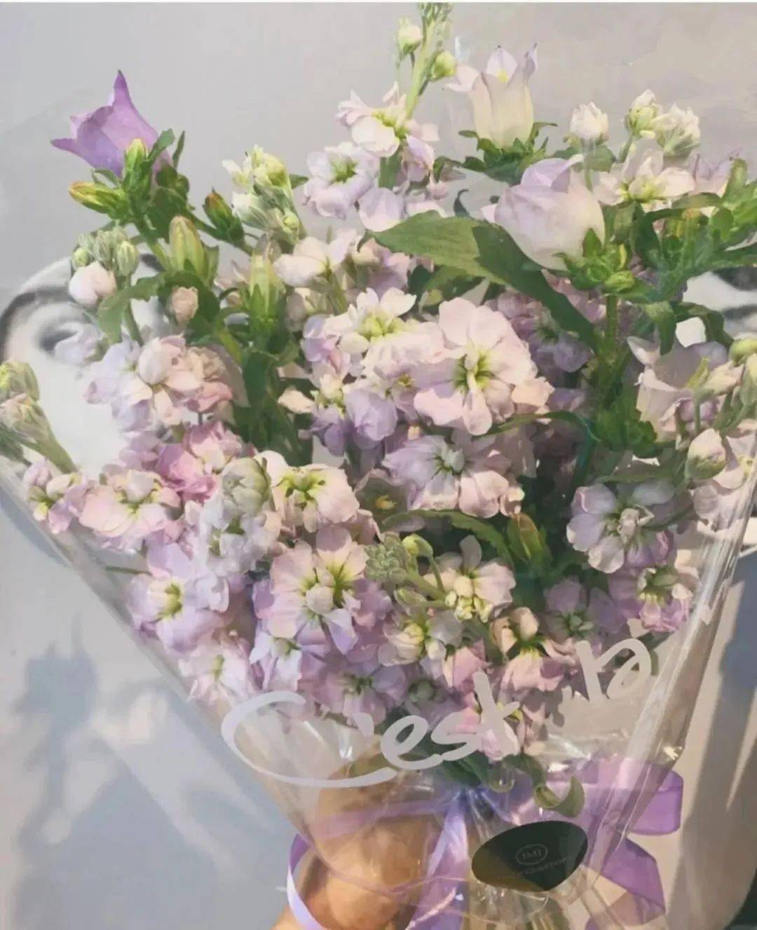 什么是花卉艺术 a549e63a1f02413895478f1f4c2106e5.jpeg