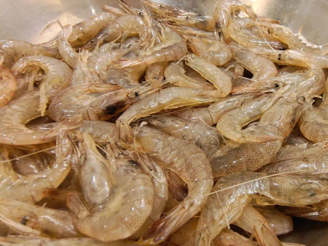 美食淄博大厨露一手姜蓉焗江白虾