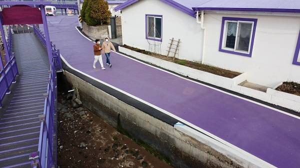 到处是梦幻紫色 韩国“紫色岛”吸引游客打卡