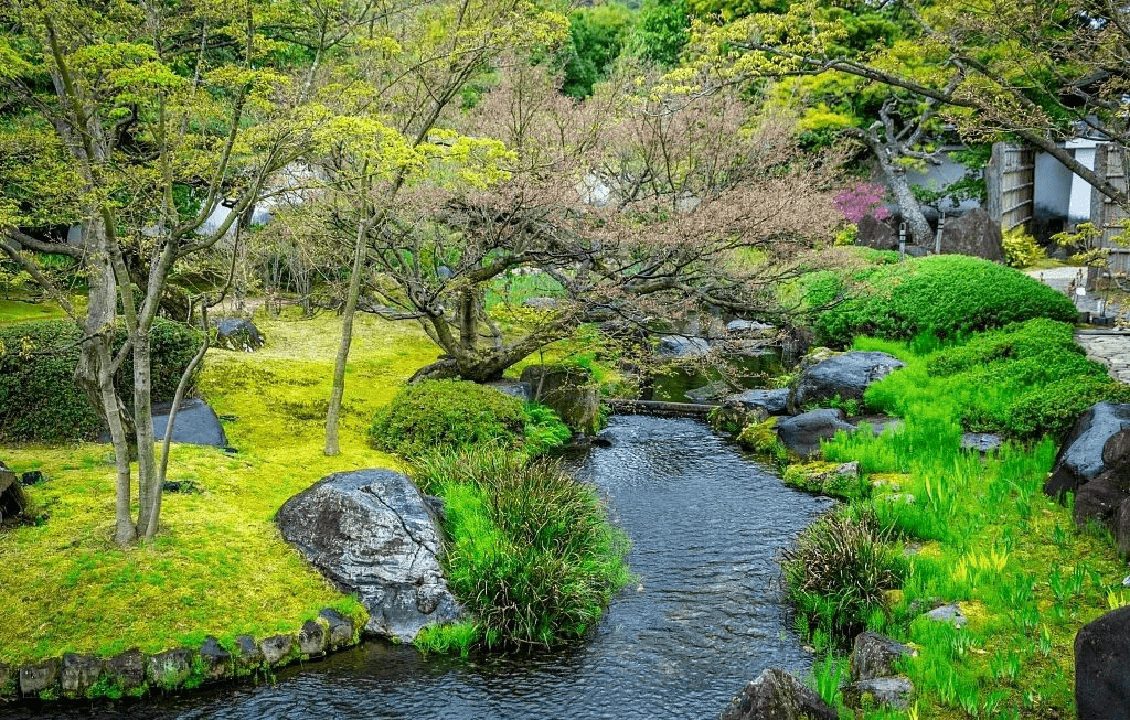 生態歸家|讓回家即是歸心旅程_大自然