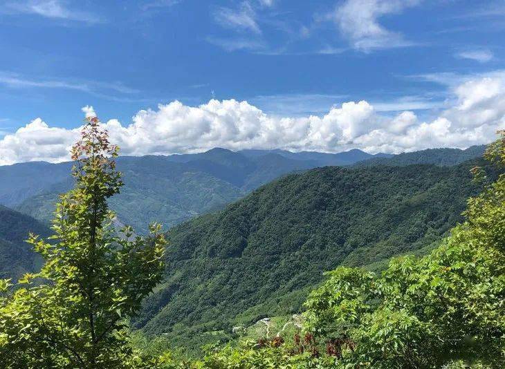 边疆时空 施沛琳 新竹尖石后山的泰雅人部落及抗日经历 马库斯