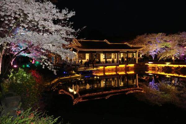 夜赏樱花游园会时间定啦！