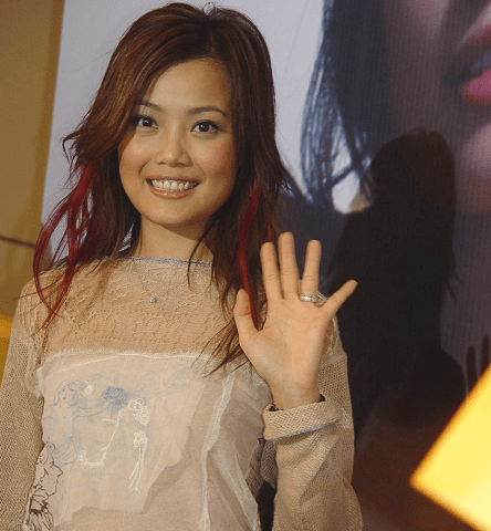 不同于舒淇和倪妮,少女时代容祖儿的鲶系风格确实更偏向"土感".