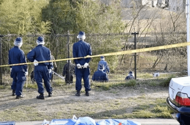 日本31岁女子弑母分尸!曾3次离家出走,法官最后竟然选择轻判?