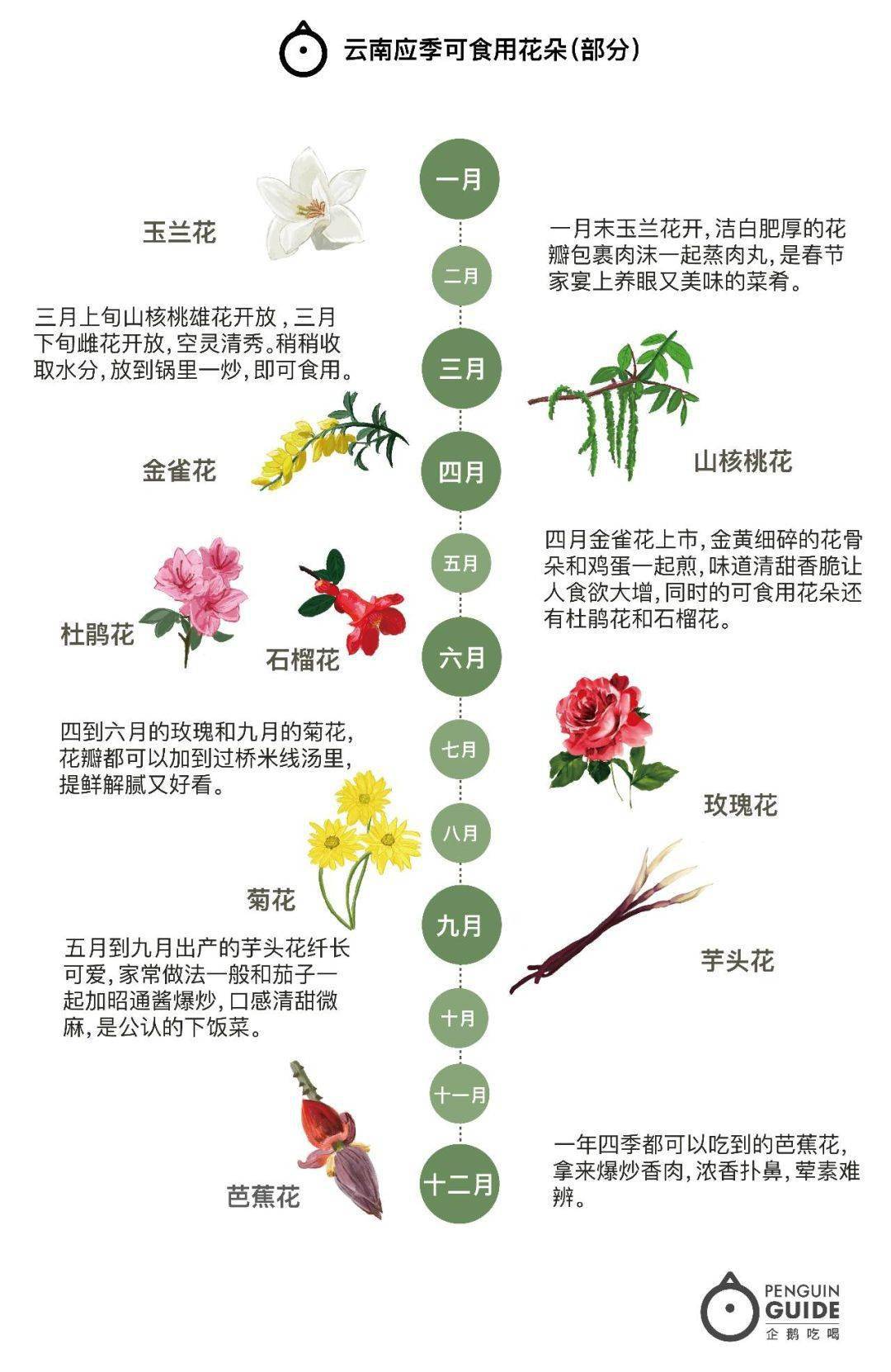 春天到了 只有云南人才知道的 春天吃花食谱 整理在这儿啦 芭蕉