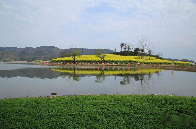 请您欣赏岱冲湖一叶知春