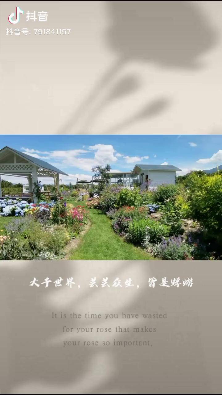大千世界芸芸众生皆是蜉蝣何不带上亲爱的美人儿寻一处可以安放心灵的