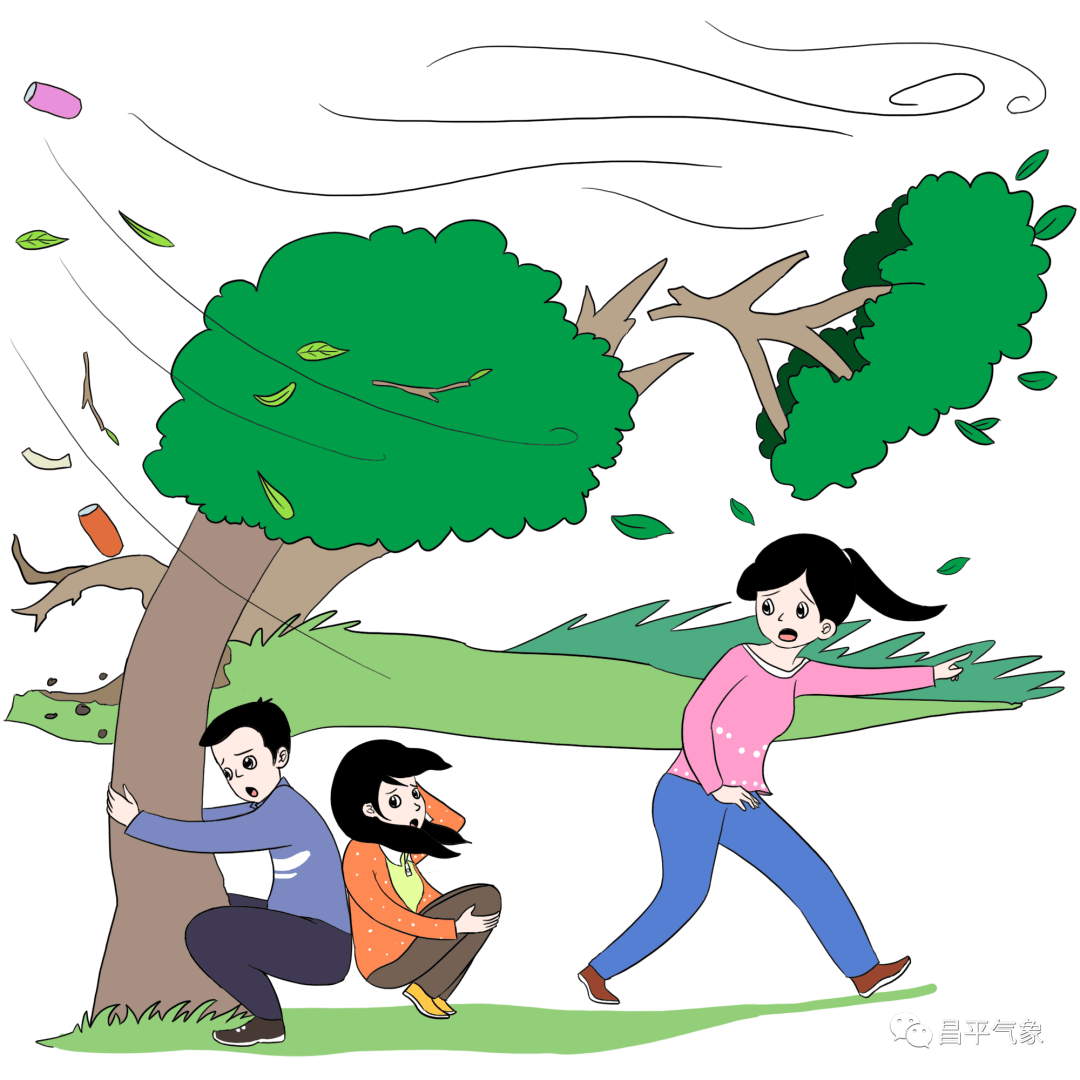 春分到花儿俏周日仍有北风扰