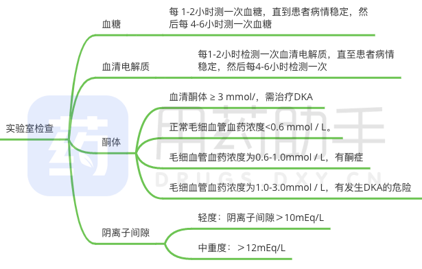 血糖调节的思维导图图片