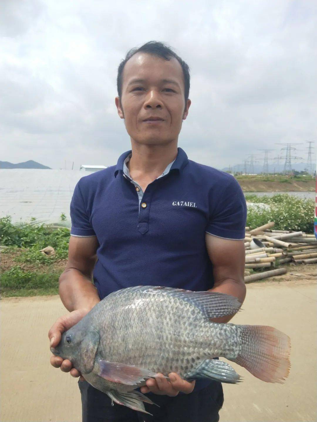 助力乡村产业振兴,坦洲镇举办脆肉罗非鱼养殖技术培训班