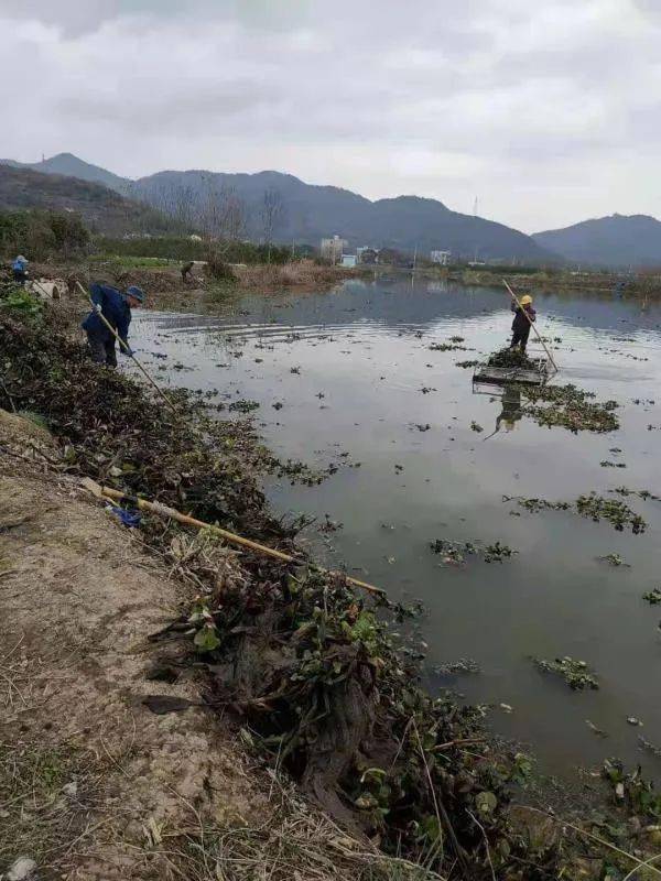 農(nóng)村河道清淤寧海長街鎮(zhèn)展開河流清淤疏浚保潔幫推情況處置(圖2)