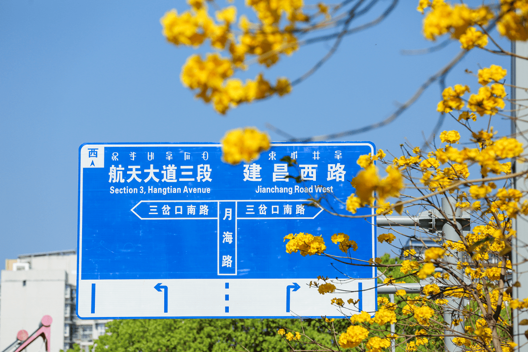 ab168ee285c54012ab1777815d16e3bf.png