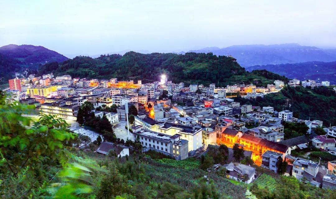 3月23日我们去文斗寻青考古采茶