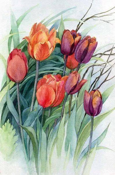 暗香浮动 艺术家anne Marie Patry Belluteau手绘花卉水彩画集 作品