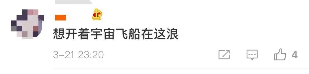 郁金香|这张17亿像素的绝美图，网友们争着要下载地址
