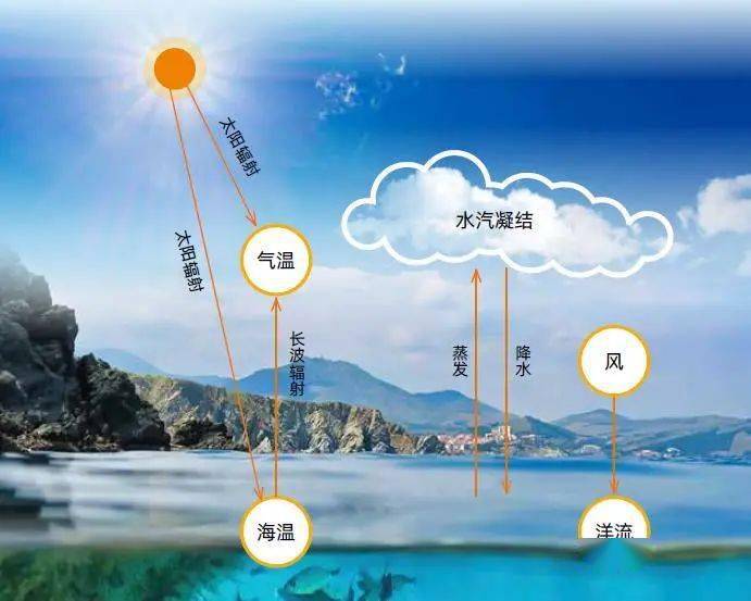 直击天气与科学家聊天谈谈海洋我们的气候和天气