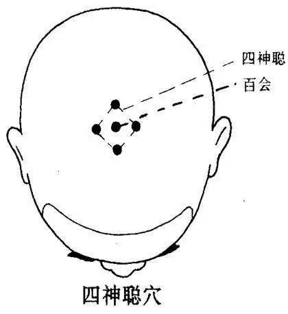 87d6d7abc6d64527b326d59967f6800c.jpeg
