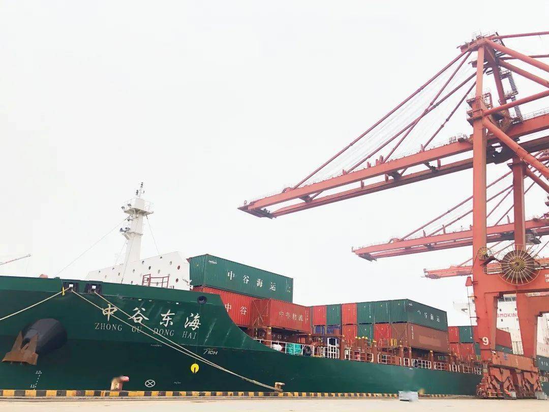 中谷海运首条外贸航线"上海-宁波-胡志明"(cv1)成功首航_集装箱