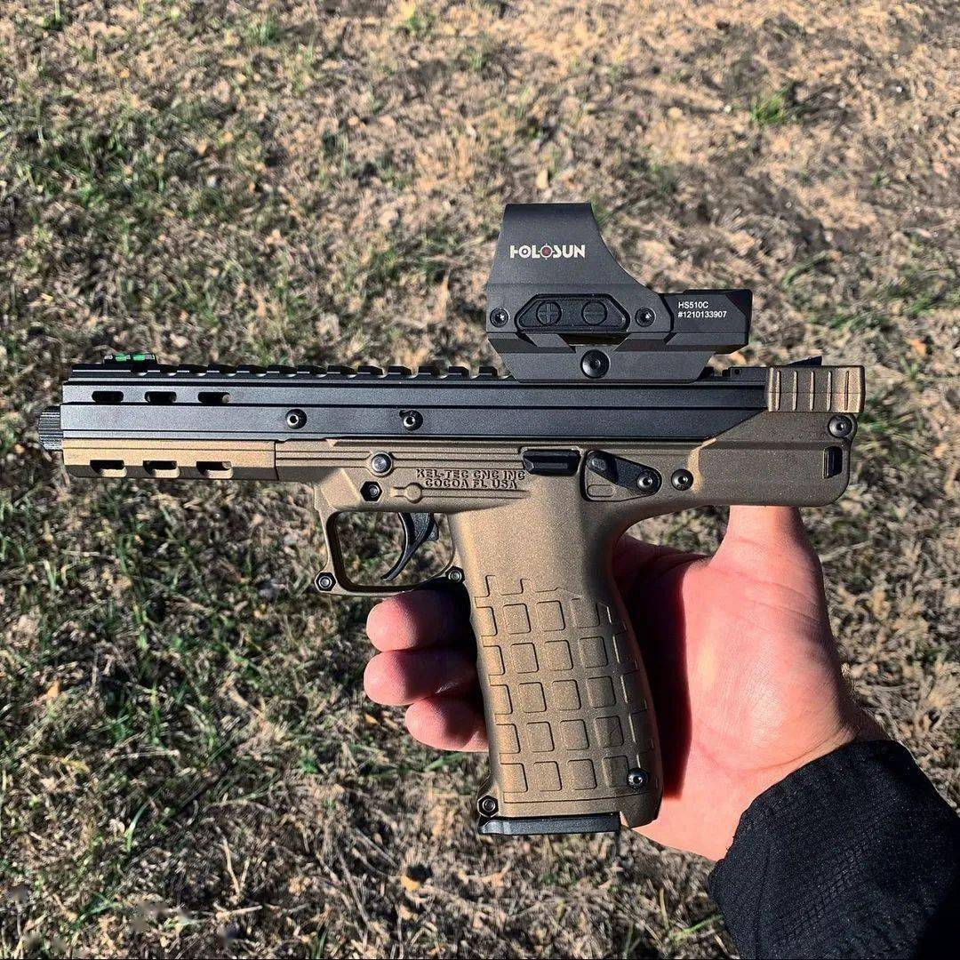 不走寻常路美国keltec公司枪械美图欣赏