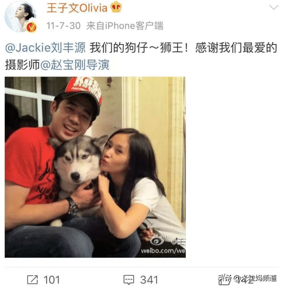 王子文个人资料简历简介 e10c44845185416aba5c6a1bd2cd362e.png