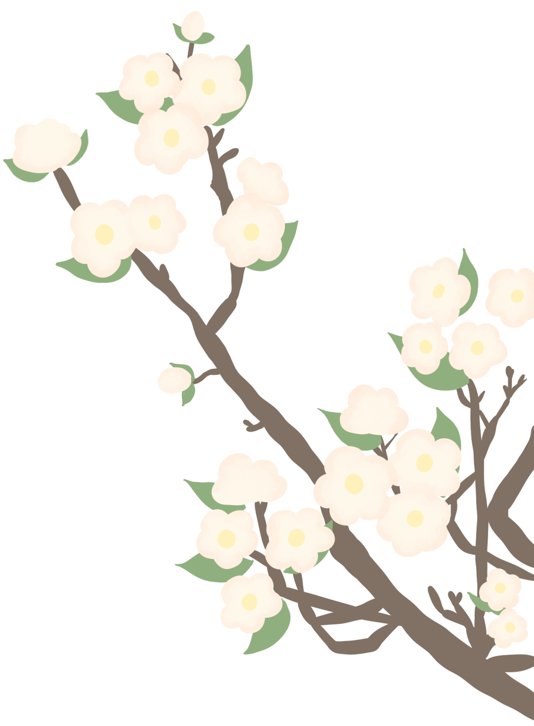 天青色等烟雨 而我在无锡的春天等你 太湖