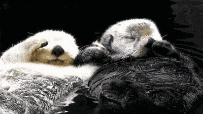 1be8ef37c9924151aa0b55b2ace119ff.gif