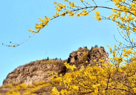 待到山花爛漫時共遊仰天山可好