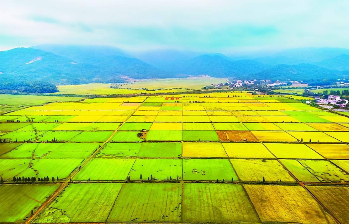 高标准农田怎么建