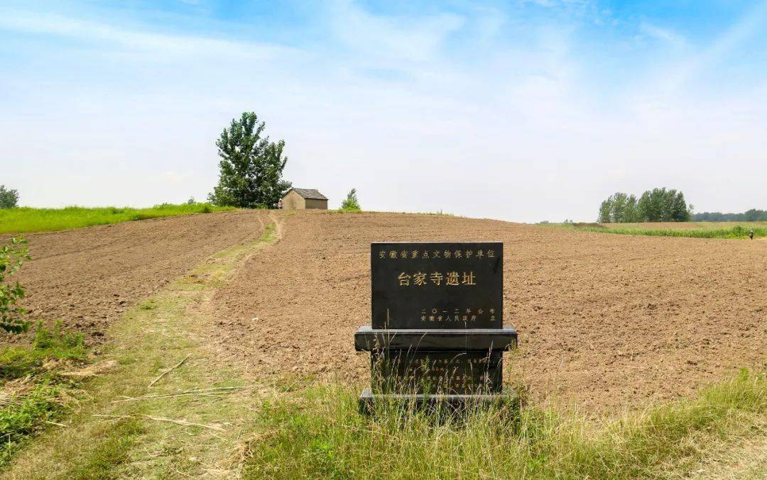 安徽省文物考古研究所从2014年开始历时三年对台家寺遗址进行考古发掘