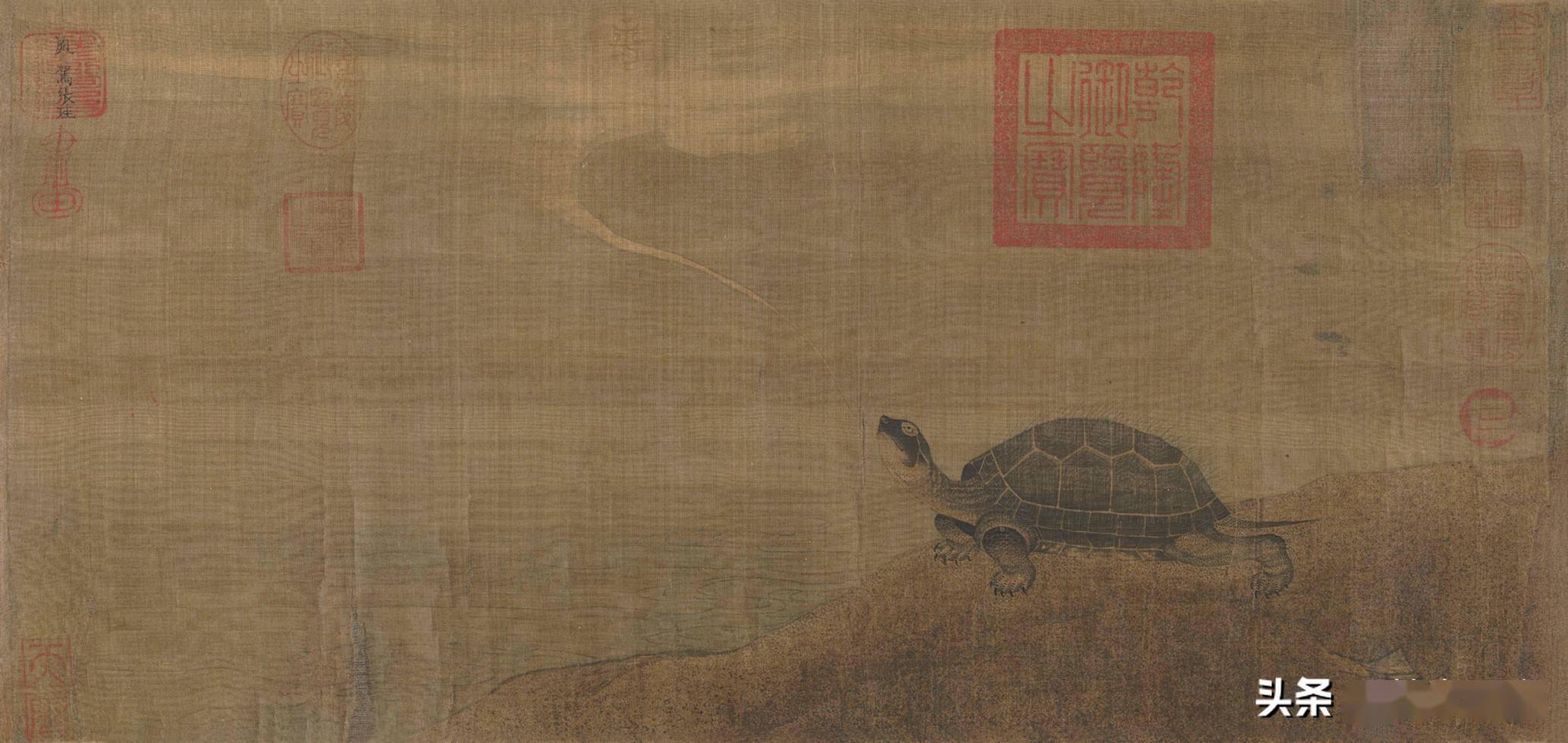 金代张珪 神龟图 卷研究 画面