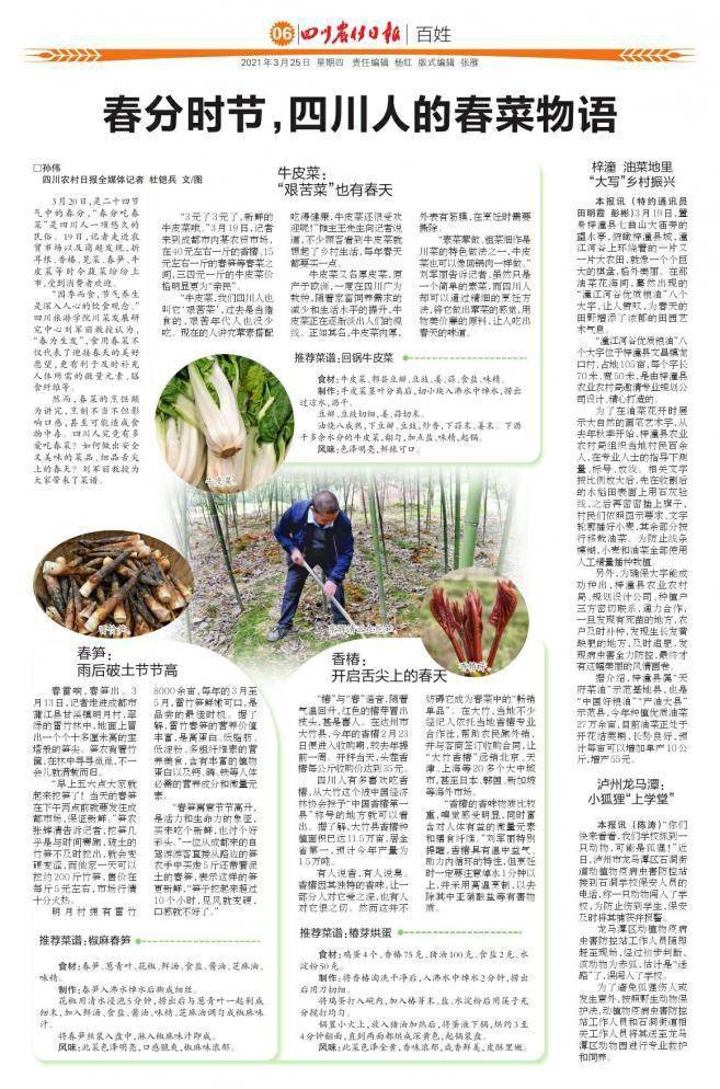 泸州龙马潭:小狐狸“上学堂”