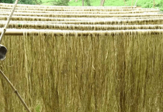 「草木情缘」麻生天地间