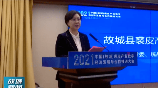 故城县经济生产总量_故城县地图