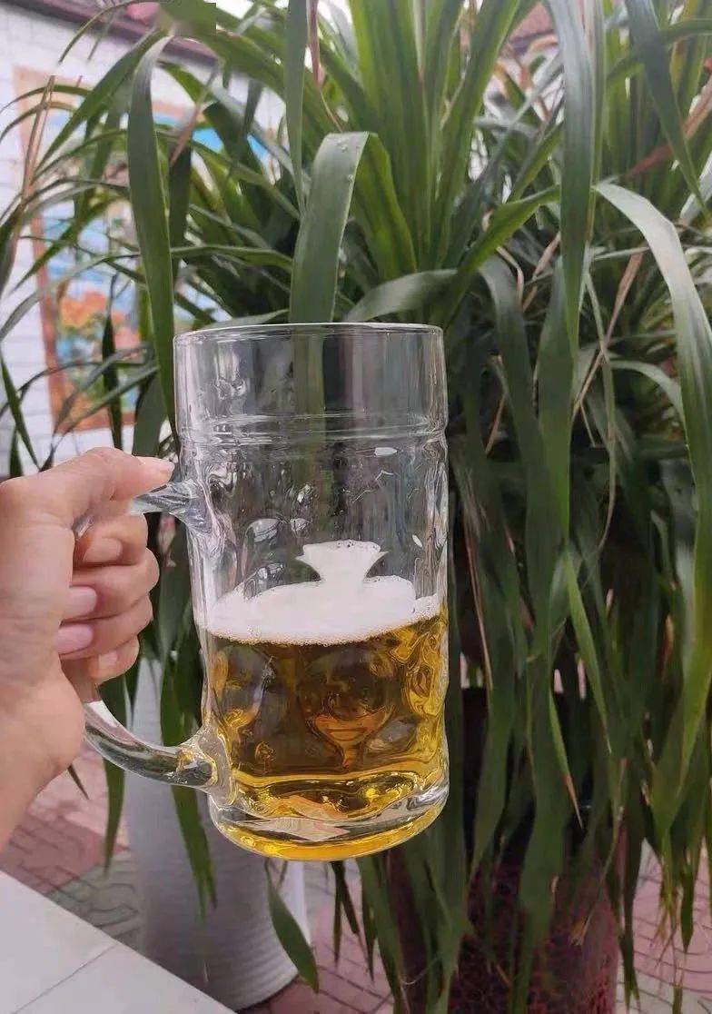 怎么养花不黄叶还常开 c80166b7bab74594b3704efc62fa628a.jpeg