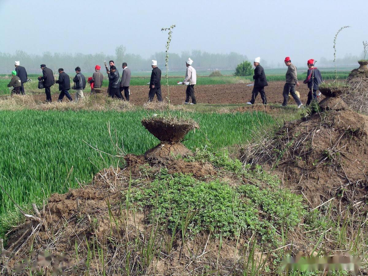 墳頭枯草生遷墳不能等院中生枯草搬家要趁早是啥意思