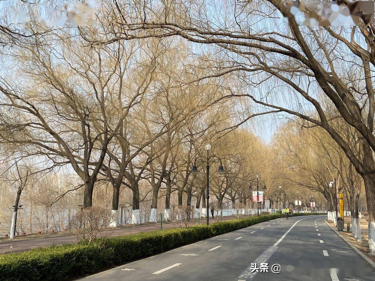 沈阳春天的脚步是可以看到的