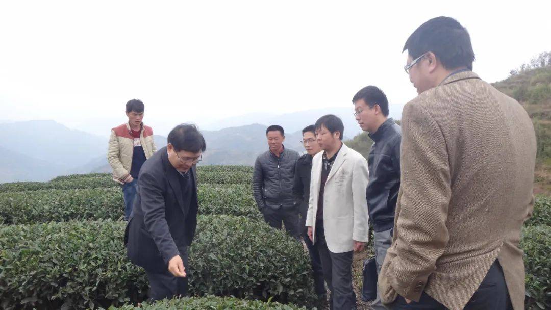 科普|科技助力乡村振兴再出发丨科技让“八闽大地”生长出看得见的力量