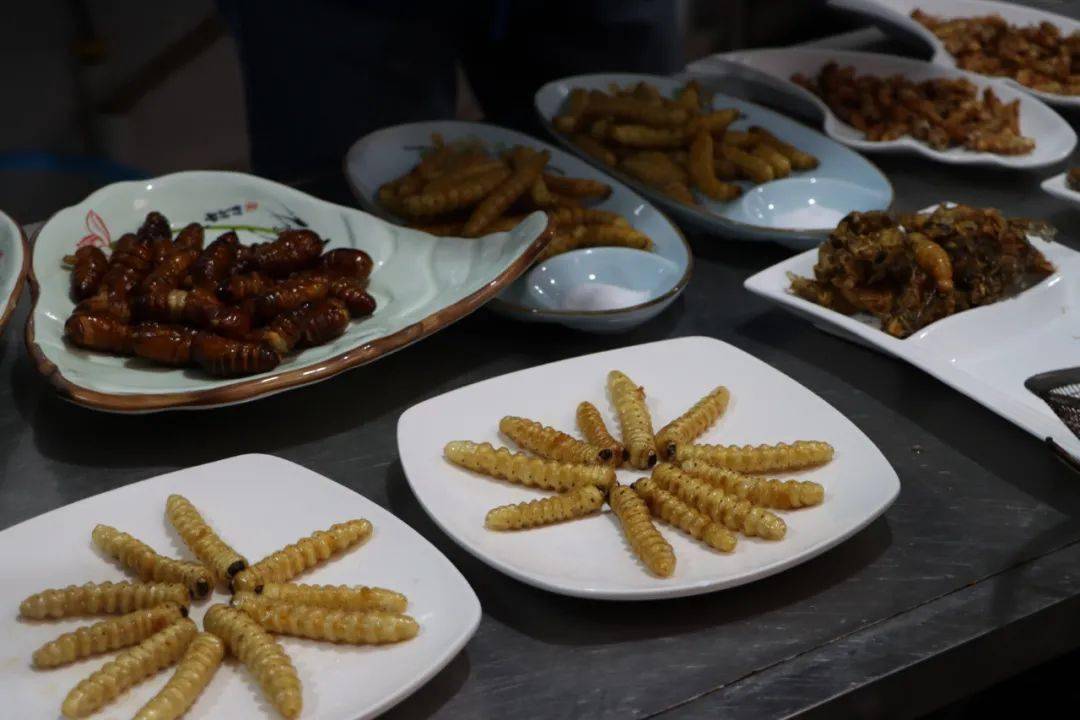 快来九仙山看兰槿!_五莲