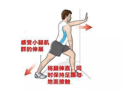 如何拉伸小腿两边 1fe8ae5258c54f25a7f90b6808ecb32f.jpeg