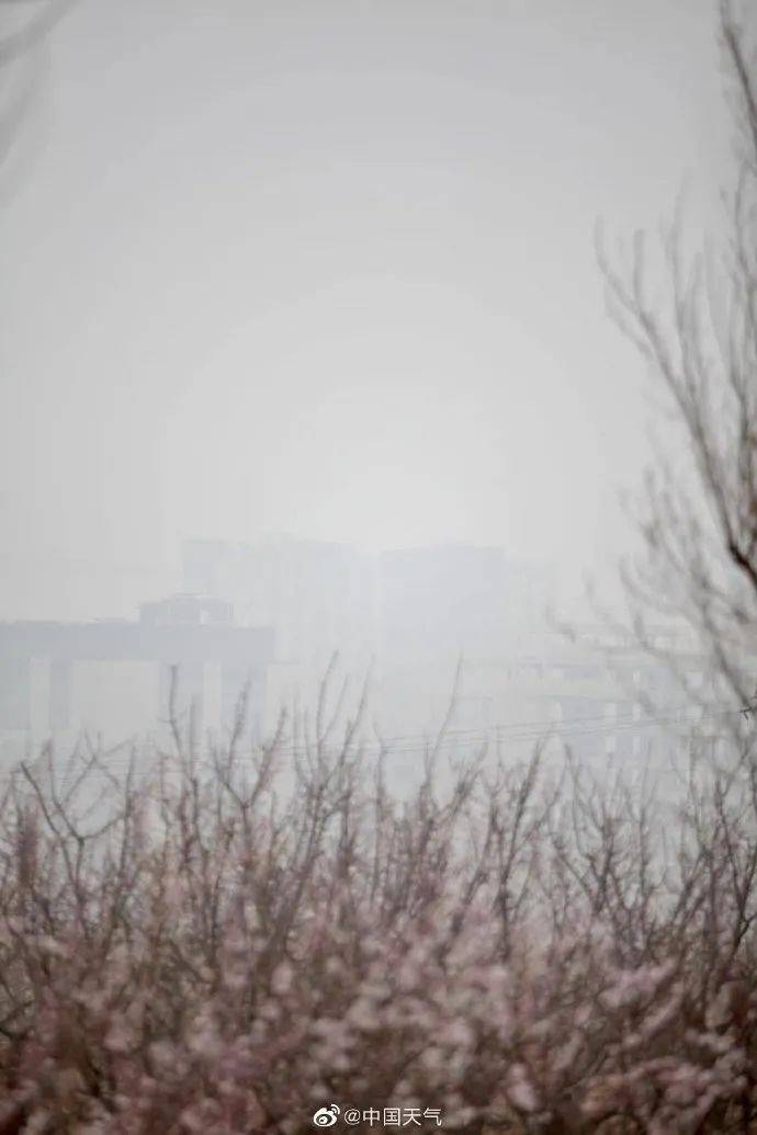 注意 受大雾影响 北京多地能见度不足一公里 夜间还将有大风沙尘 天气