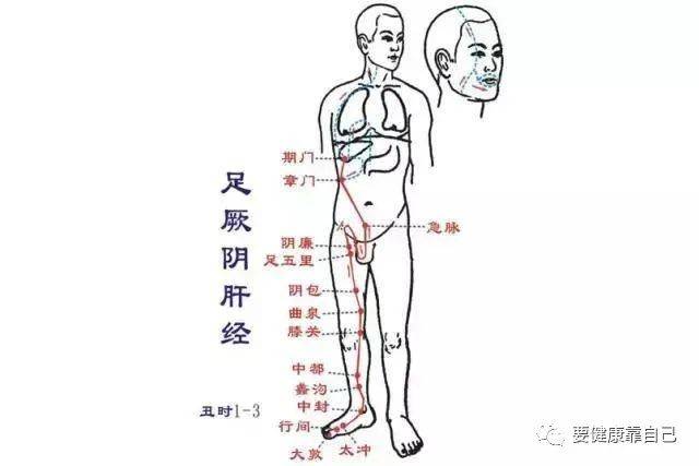 輕拍或刮痧刮除肝膽經火氣. 輕甩手不穿鞋踏步.